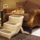 Dog ladders: what are they and how to choose?