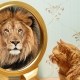 Megalomania: what is it and how to get rid of it?