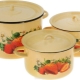 Sets of enameled pots: types and nuances of choice
