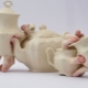 Unusual tableware: the most creative options
