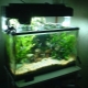Do I need to turn off the lights in the aquarium at night and why does it depend?
