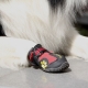 Shoes for dogs: types and recommendations for choosing