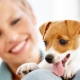 Review of dog nicknames with the letter T