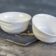 Bowls: types and features of choice