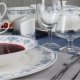 Table service: description of types and features of choice