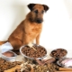 Premium dry food for dogs