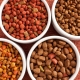 Super premium dry food for dogs