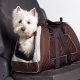 Carrying bag for small breed dogs