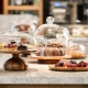 Plates with a lid: features of claws and rams, tips for choosing them