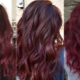 Wine hair color: shades, choice and care