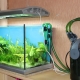 External filters for the aquarium: design, selection and installation