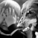 All about kinophobia
