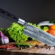 Japanese kitchen knives: types, rules of selection and care