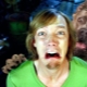 Zoophobia: causes, symptoms and treatment