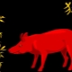 1947 - the year of which animal and what features does it have?