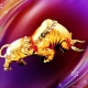 1961 - the year of which animal and what are its features?