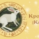 1999 - the year of which animal and what does it mean?