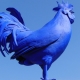 2005 - the year of which animal and how is it characterized?