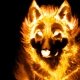2006 - the year of which animal and how is it characterized?