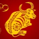 2009 - the year of which animal and what does it mean?