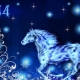 2014 - the year of which animal and what is special about it?