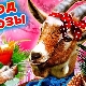 2015 - the year of which animal and how is it characterized?
