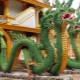 2024 - the year of which animal and what does it mean?