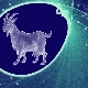 2027 - the year of what animal and what is characteristic for it?