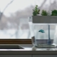 Aqua farm: what is it and what is it for?