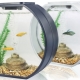 Aquarium for beginners: the choice of an aquarium and fish, care features