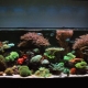 500 liter aquariums: their sizes and launch