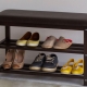 Bench with a shelf for shoes in the hallway: types and recommendations for choosing