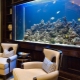 Large aquariums: how to launch and design?