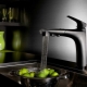 Black kitchen faucets: varieties, tips for choosing and care