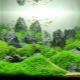 Aquarium design for 100 l