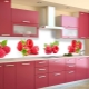 Kitchen aprons made of plastic: varieties, brands and tips for choosing