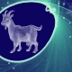 Year of the Goat: characteristics and compatibility