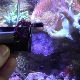 Making a compressor for an aquarium with your own hands