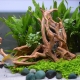 How to make a snag for an aquarium with your own hands?