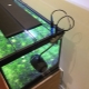 How to make a do-it-yourself aquarium cover?