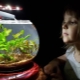 How to choose a filter for a round aquarium?