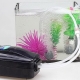 Compressors for aquarium: what is it for, how to choose and install?