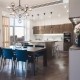 Kitchen-dining room: layout and examples of interior design