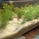 Quartz sand for an aquarium: varieties, selection and rules of use