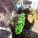 The aquarium has burst: how and how to glue it?
