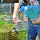 Changing the water in the aquarium