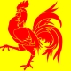 Male Roosters: characteristics, achievements in work and personal life