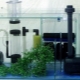 Equipment for the aquarium and the rules for its selection