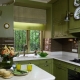 Olive cuisines: color characteristics and popular combinations