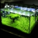 Aquarium lighting: choosing and using lamps
